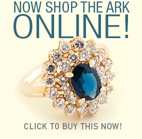 Image of Now shop The Ark online announcement.