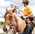 TERI-therapeutic-equestrian-program