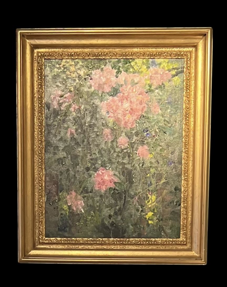 Kang Cho ‘Annies Wild Rose’