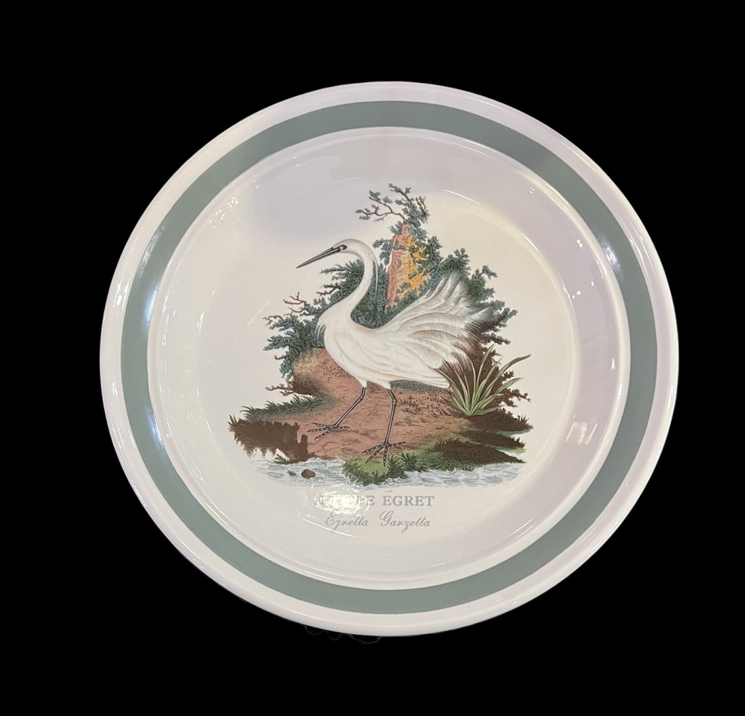 Portmeirion 'Birds of Britain' Dinnerware