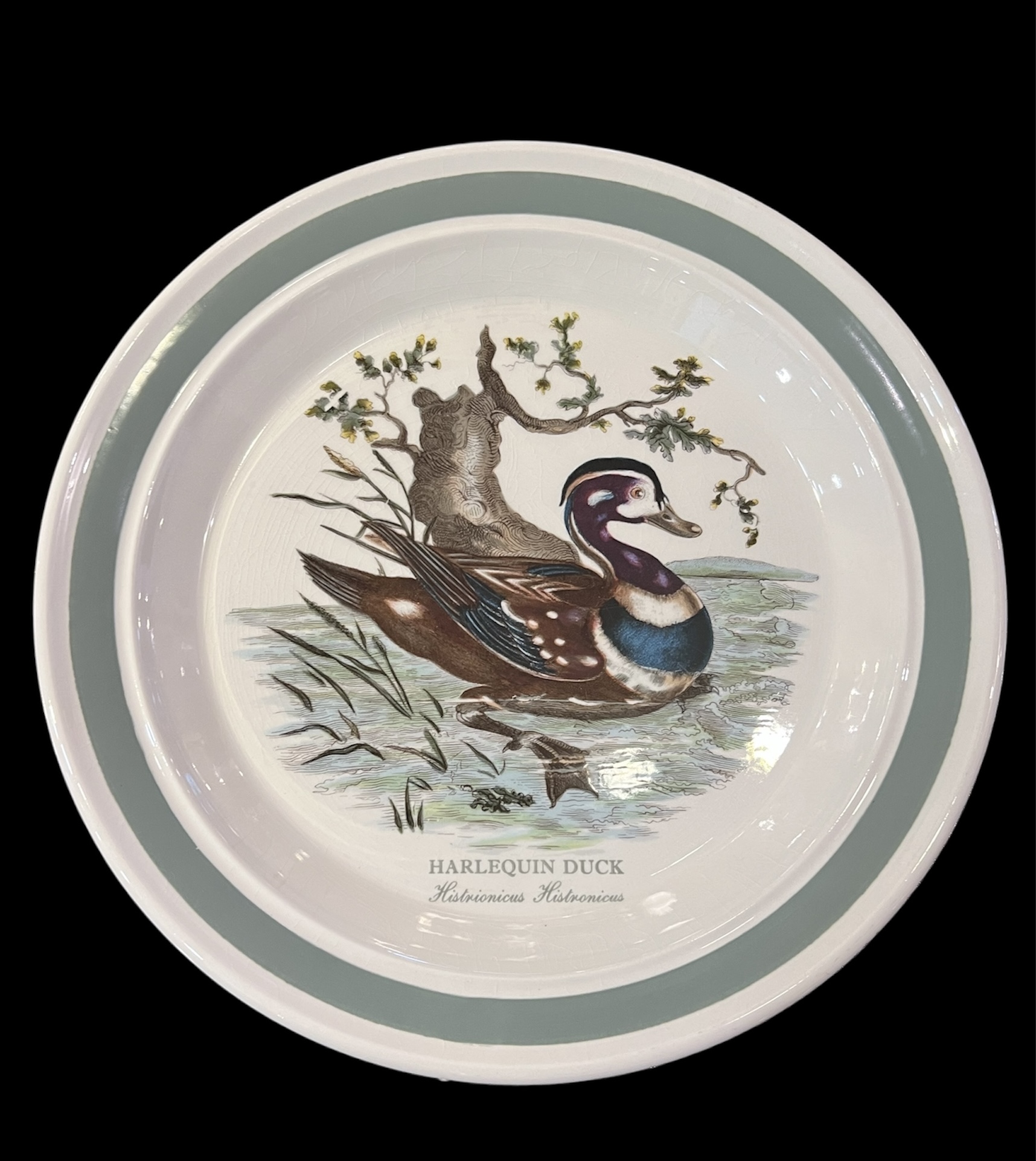 Portmeirion 'Birds of Britain' Dinnerware