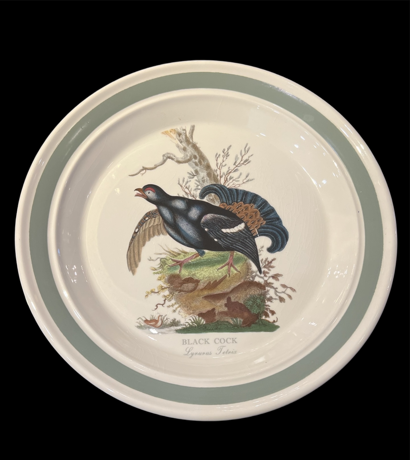 Portmeirion 'Birds of Britain' Dinnerware