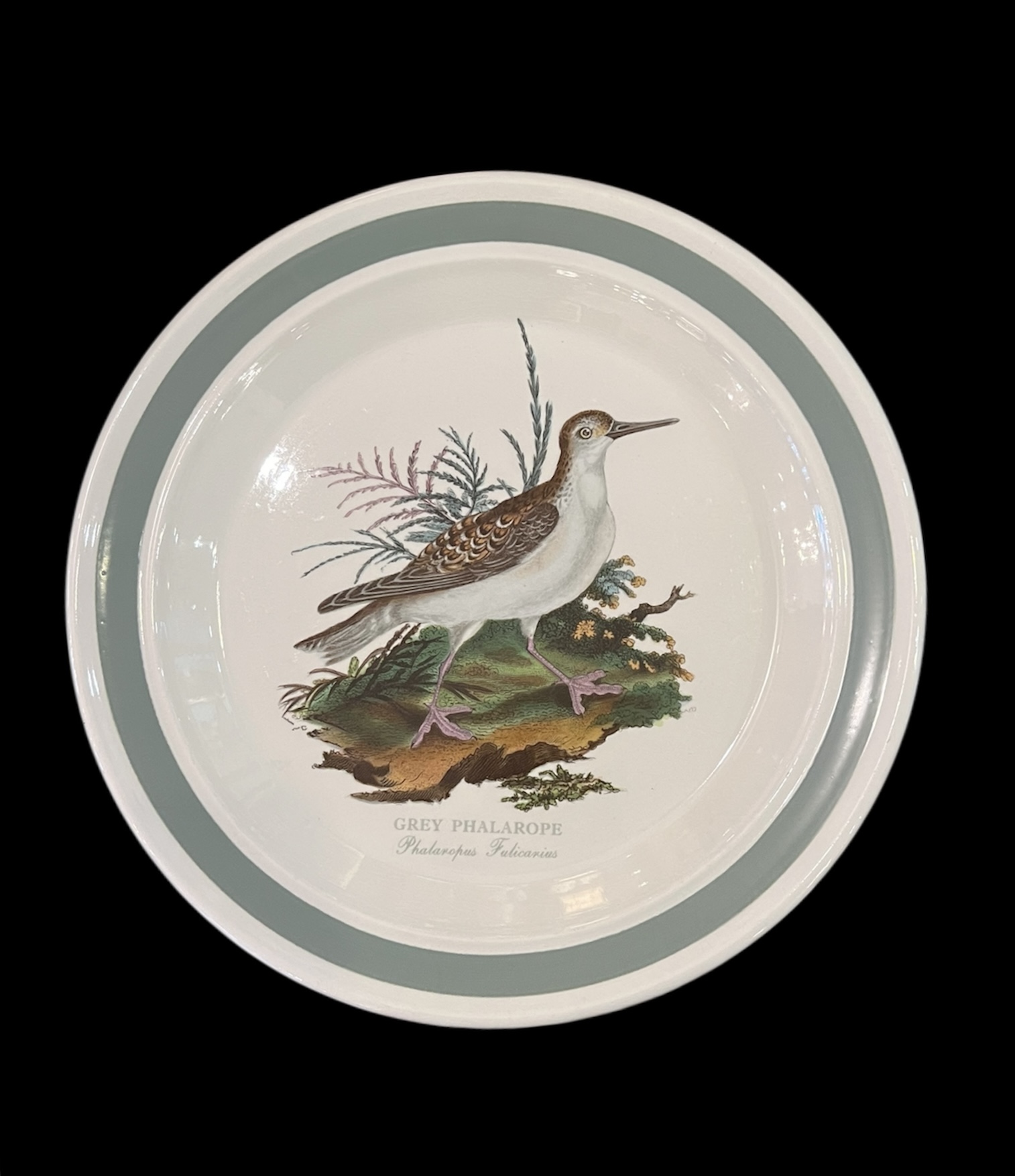 Portmeirion 'Birds of Britain' Dinnerware