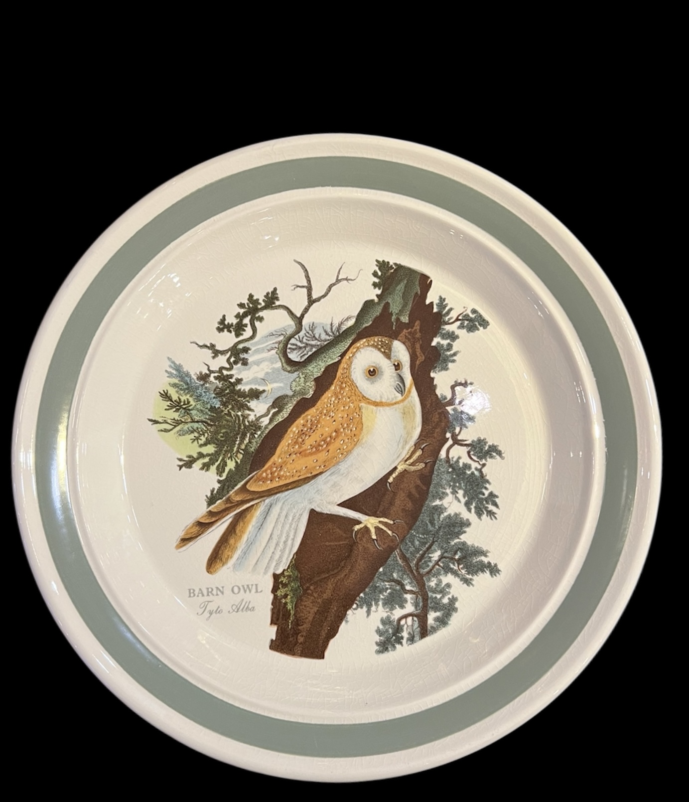 Portmeirion 'Birds of Britain' Dinnerware